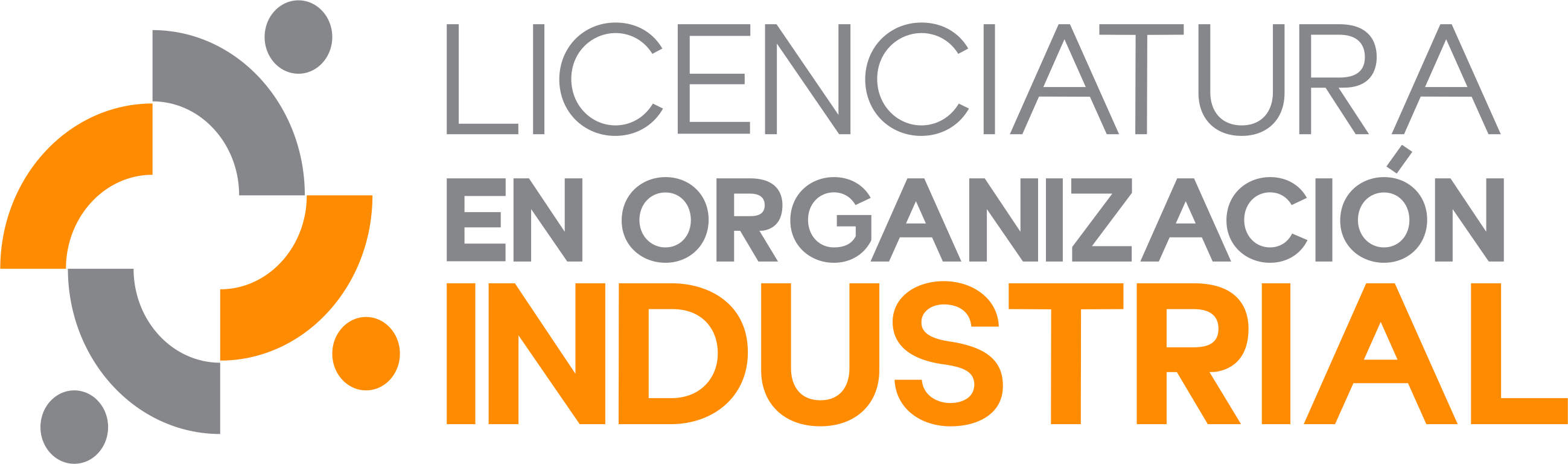 Licenciatura en Organización Industrial LOI
