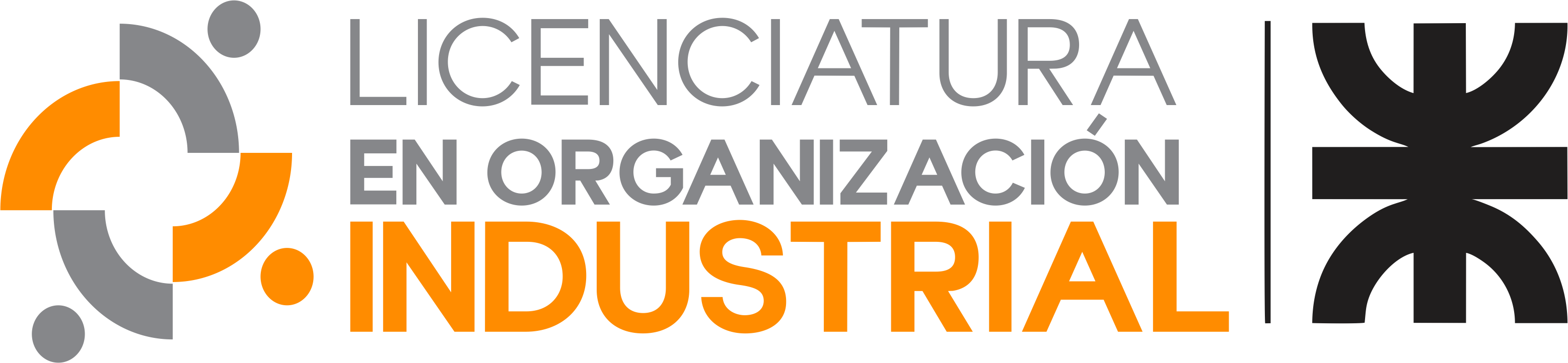 Licenciatura en Organización Industrial LOI12