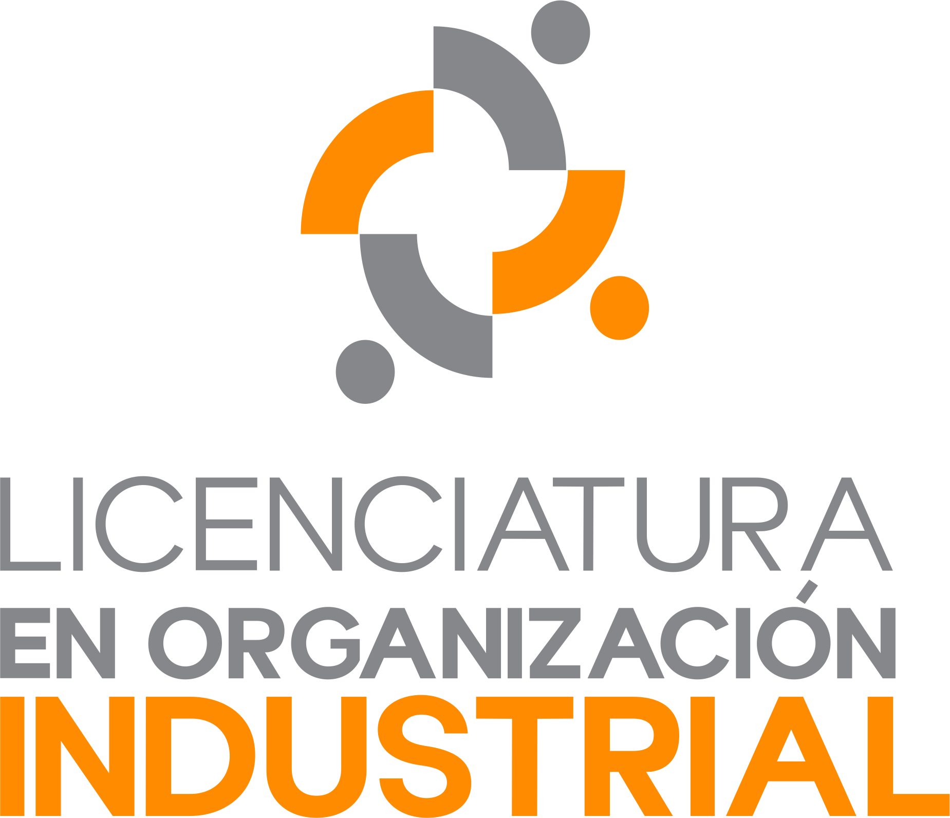 Licenciatura en Organización Industrial LOI5